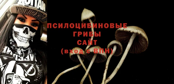 дживик Зеленодольск