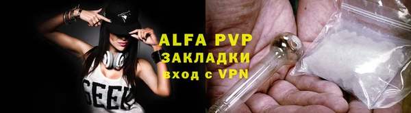 стафф Заводоуковск