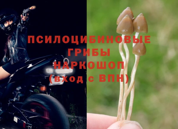 кокаин Зеленокумск
