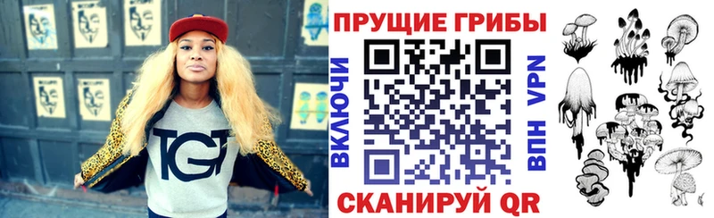 Галлюциногенные грибы мицелий  где купить наркоту  Короча 